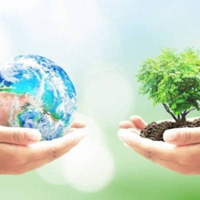 Pair of hands holding the world; another pair of hands holding a growing tree