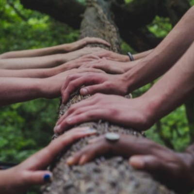 Multiple pairs of hands resting on a log
